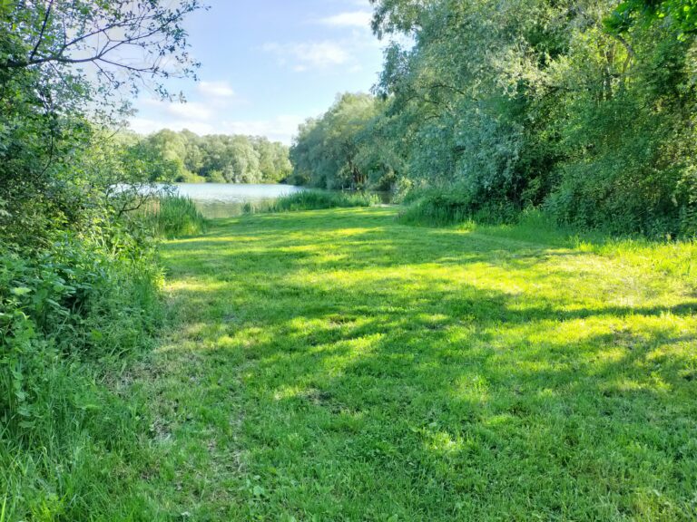 Le Domaine du Ranch, camping dans le Pas-de-Calais est entouré de la forêt d’Éperlecques possède en lisière un plan d’eau fédéral.