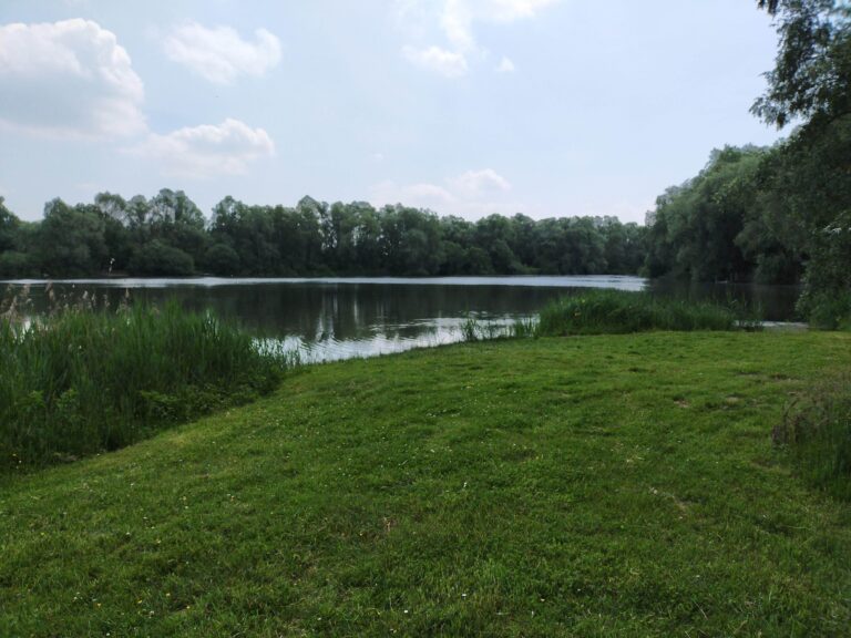 L’environnement naturel du camping, entre la forêt, les lacs et le canal de l’Aa qui relie Dunkerque à Saint-Omer.