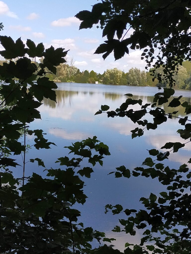 Le plan d'eau du Domaine du Ranch Car, camping près de Saint-Omer