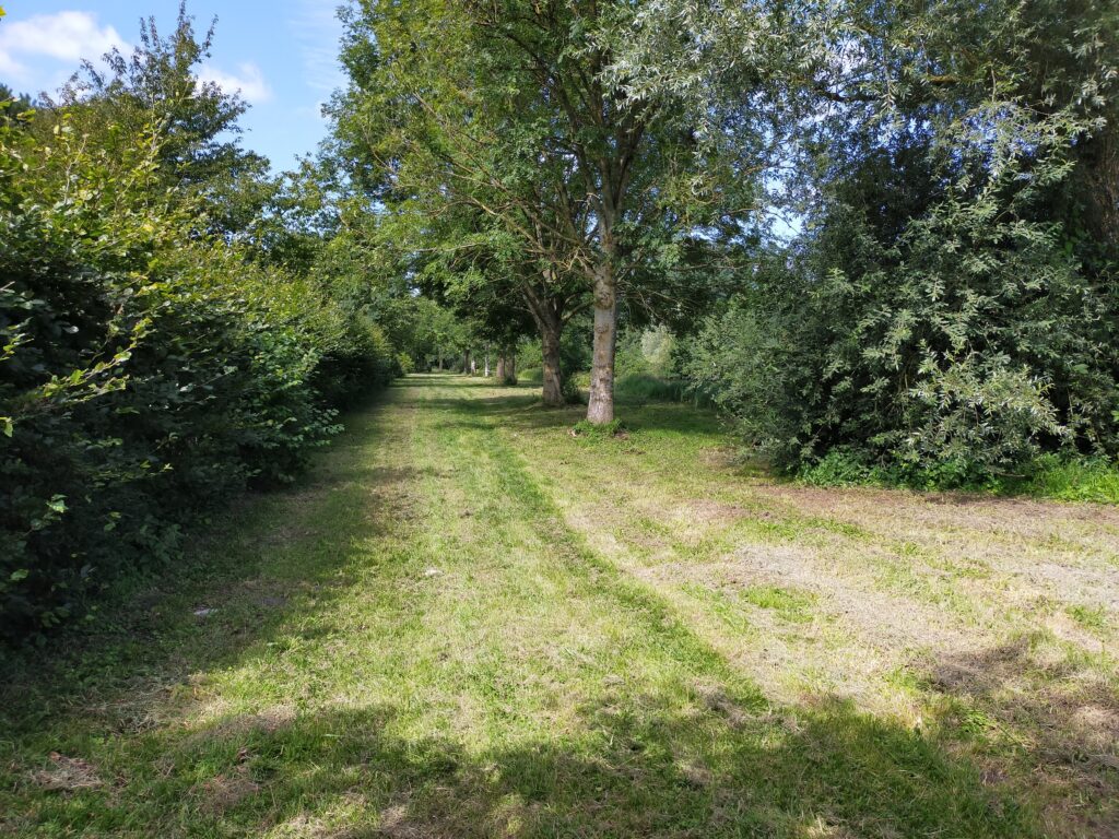 Emplacements du Domaine du Ranch Car situé à proximité de Saint-Omer